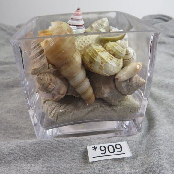REAL Sea Shells in a Glass Square Vase and sand #10 Larger - Picture 4 of 13
